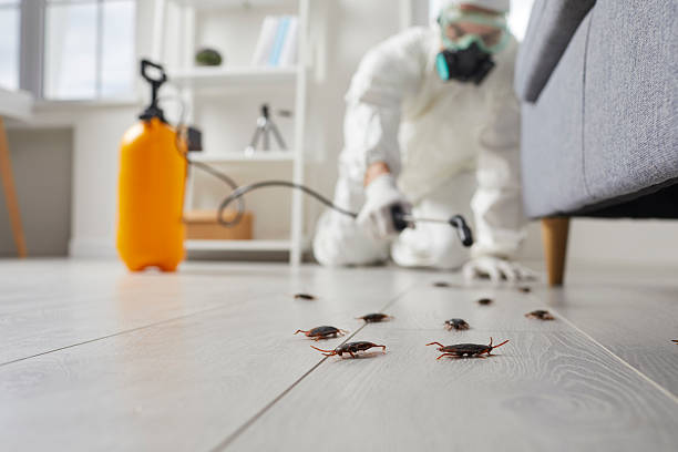 Post-Treatment Bed Bug Interceptor Monitoring in Blissfield