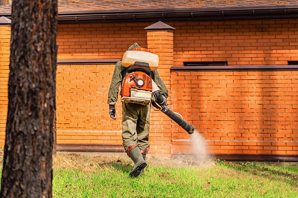 Bed Bug Clearance Verification and Documentation in Blissfield